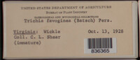 Image Associated With the Occurence